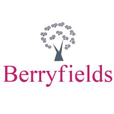 BF_logo